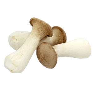 King Oyster Mushroom – 200g