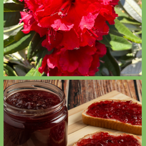 Pure Buransh Fresh Jam