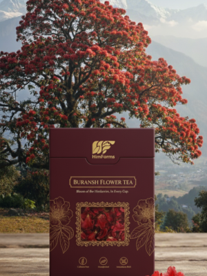 HimFarms Buransh Flower Tea front packaging mockup, premium stand-up pouch, Buransh tree and mountains in the background, elegant serif font, matte finish