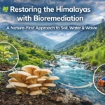 Bioremediation in the Himalayas using fungi and plants to restore polluted soil, clean river water, and manage waste sustainably