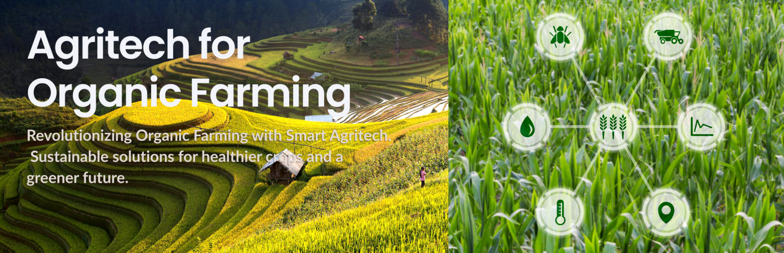 Website banner (1) Website banner (1)